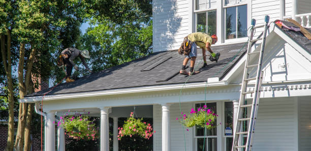 Best Asphalt Shingle Roofing  in Richton, MS